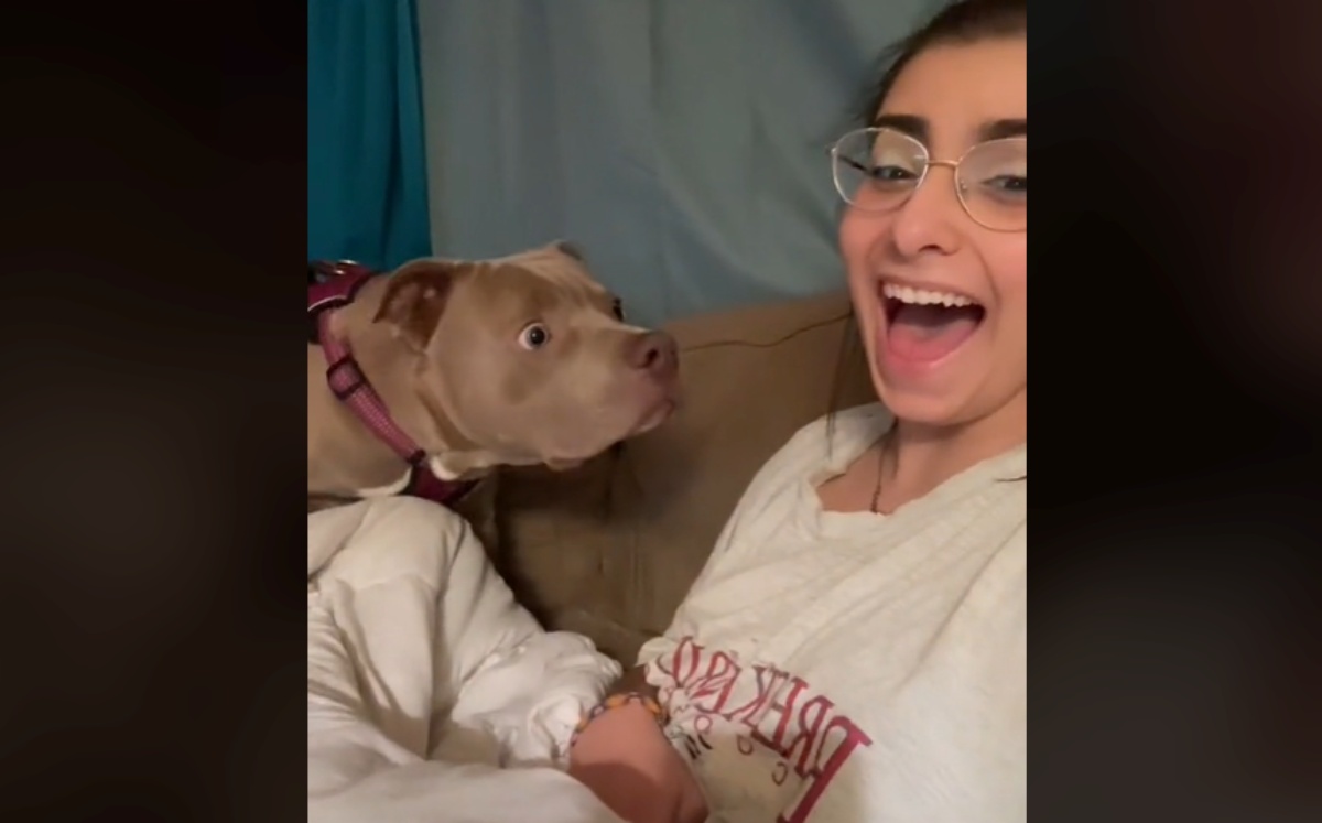Il video del cane Kieko