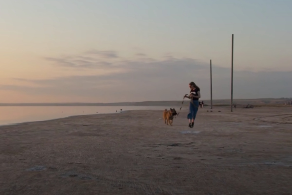 La storia del cane Leone