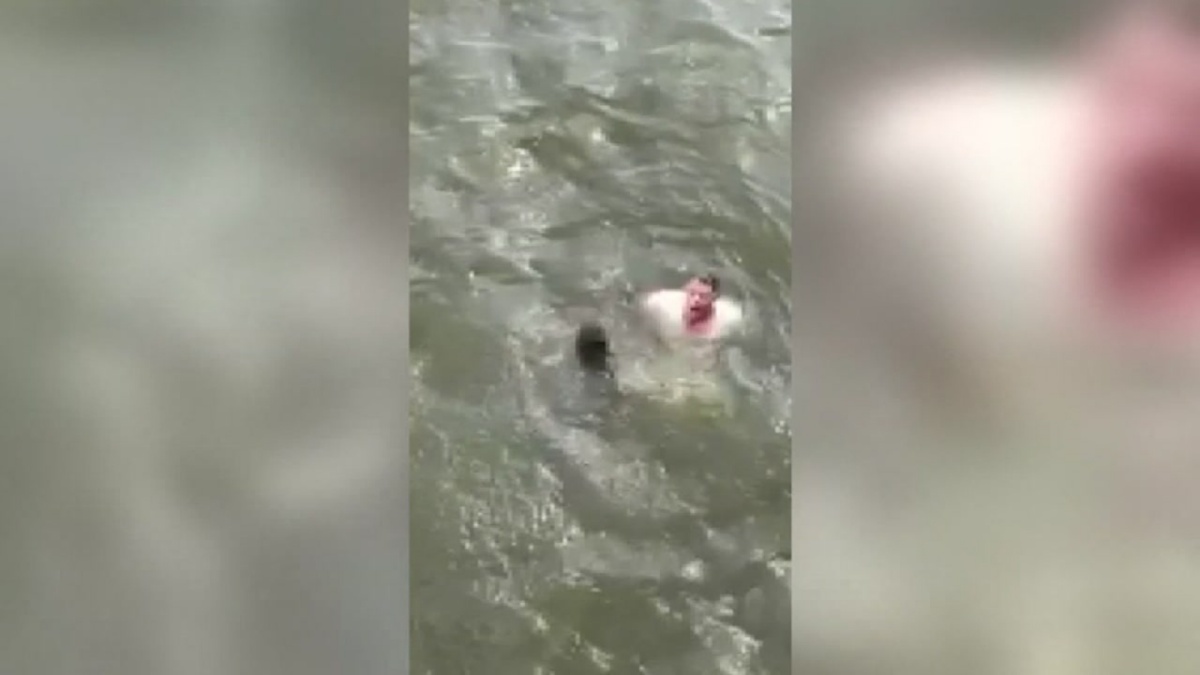 il salvataggio del cane River