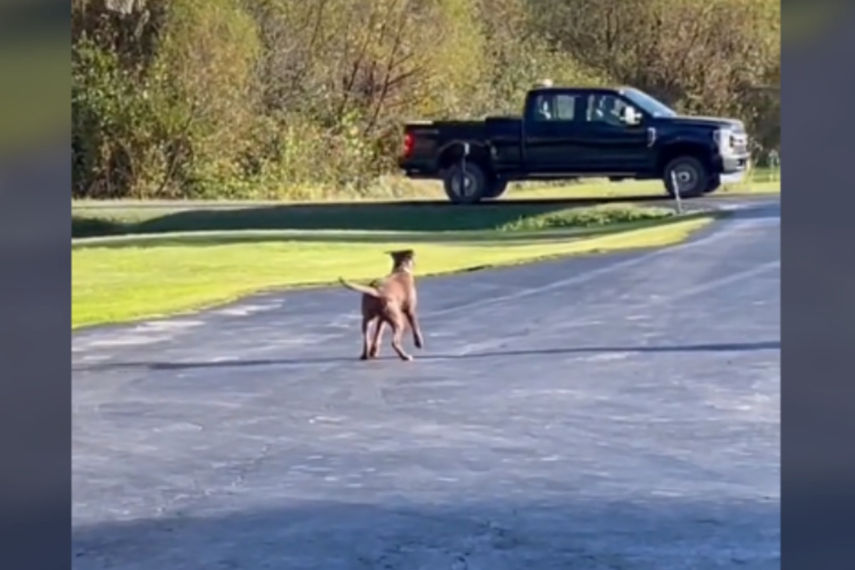 Sadie Kate aspetta ogni giorno che il suo nuovo papà torni a casa da lavoro