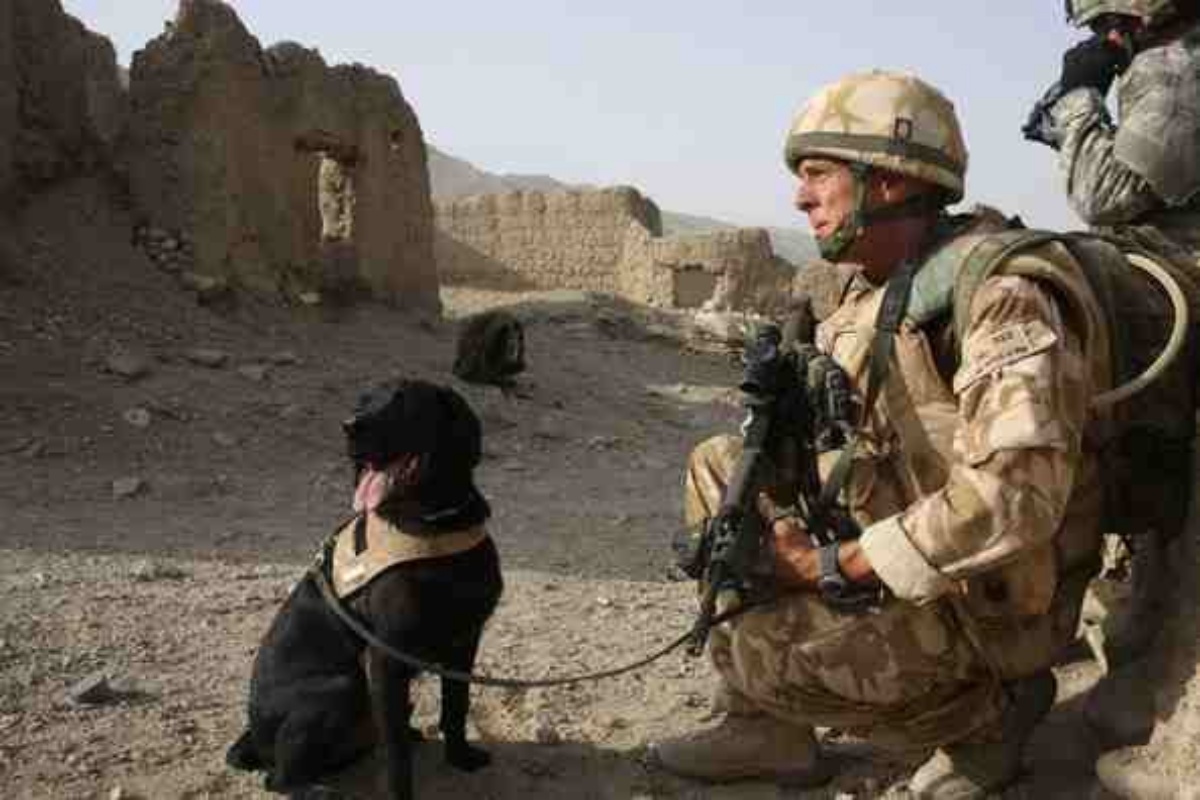 Treo e Heyhoe, un’amicizia che resterà scritta per sempre sulla pelle del militare