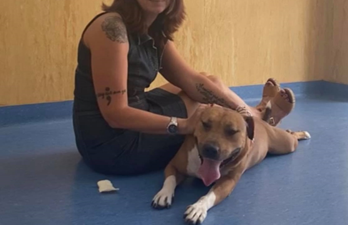 Dopo la morte del fratello Ares, Yuma è stata sequestrata al proprietario e cerca una casa amorevole