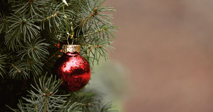 Albero di Natale