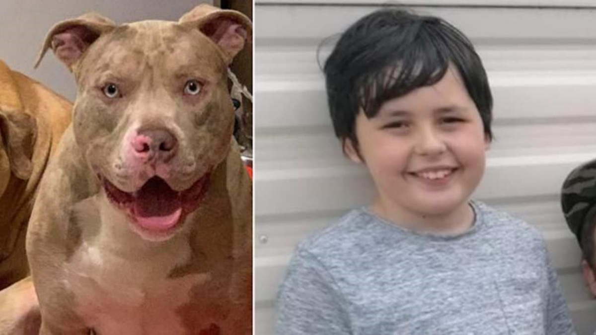 10 year old boy killed by a dog