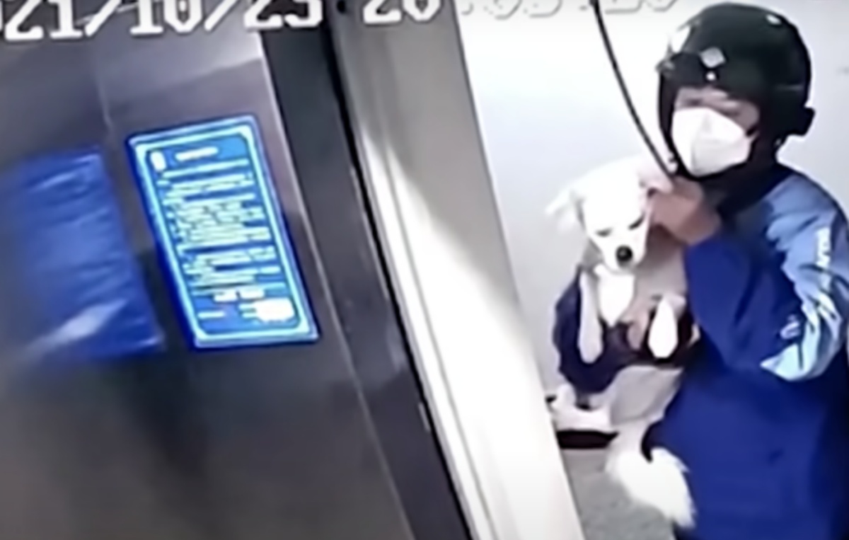 Fattorino interviene in aiuto di un cagnolino che stava rischiando di morire in un ascensore