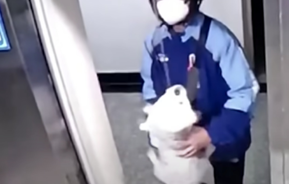 fattorino salva un cagnolino
