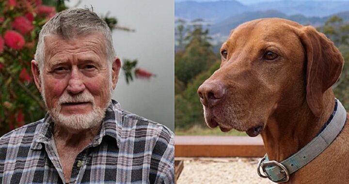 Cane del vicino salva il contadino