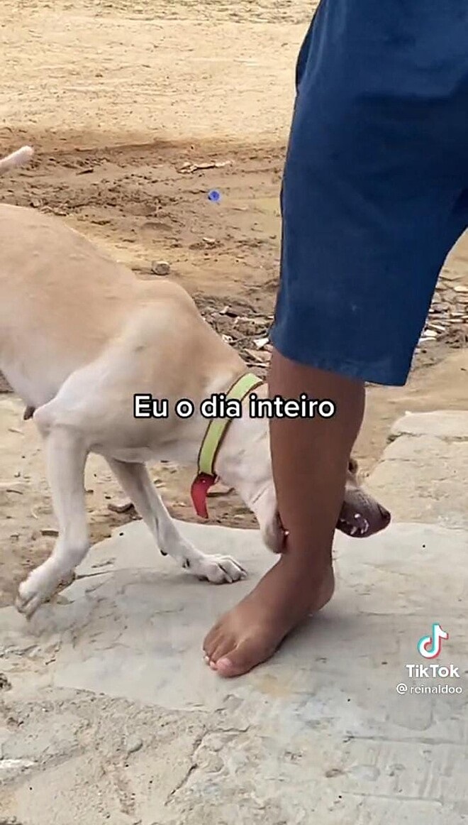 Coração Cachorro