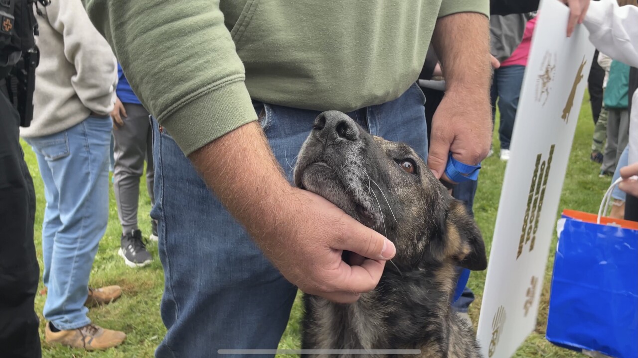 Cane poliziotto colpito da una pallottola