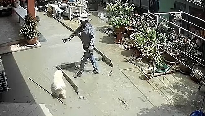 Chak