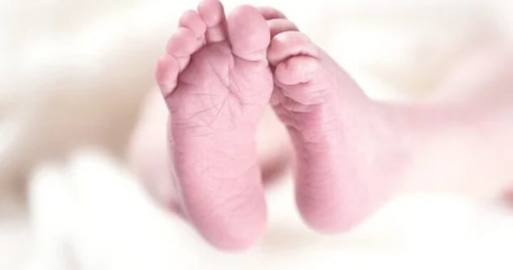 coppia italiana abbandona la figlia dopo una maternità surrogata