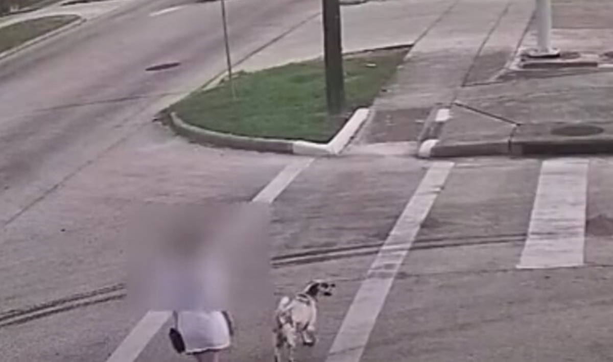 donna e cane rapinati 