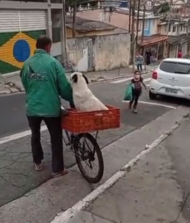 nonno porta in bici a scuola