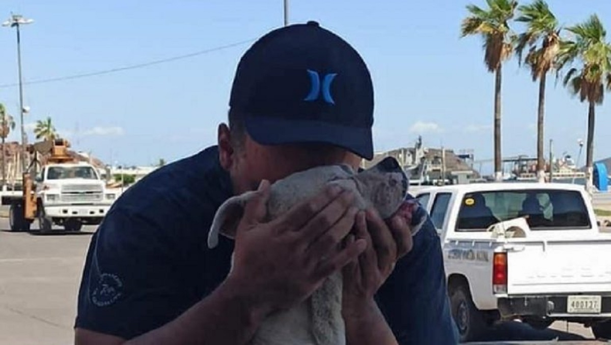 L'ultima passeggiata del suo cane