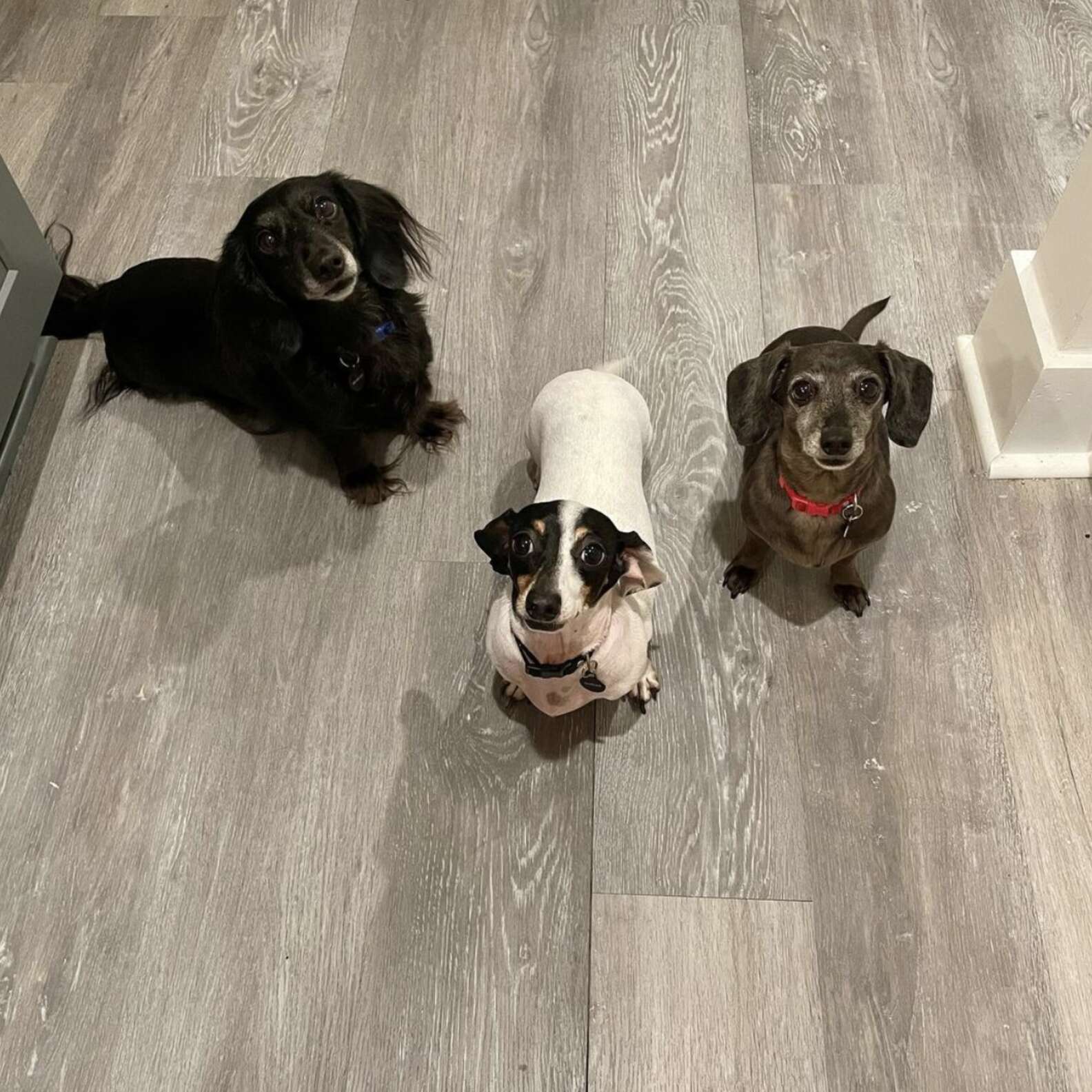 Peaches, Challah e Mitzi