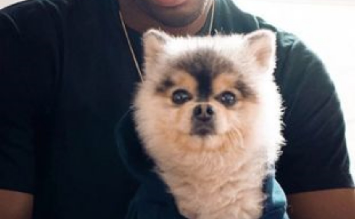 Daniel Sturridge e il cane smarrito