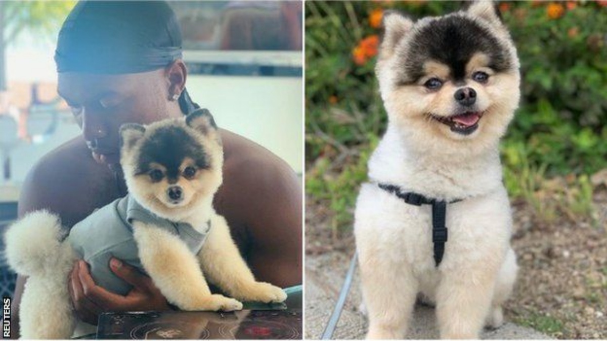 Daniel Sturridge e il cane smarrito