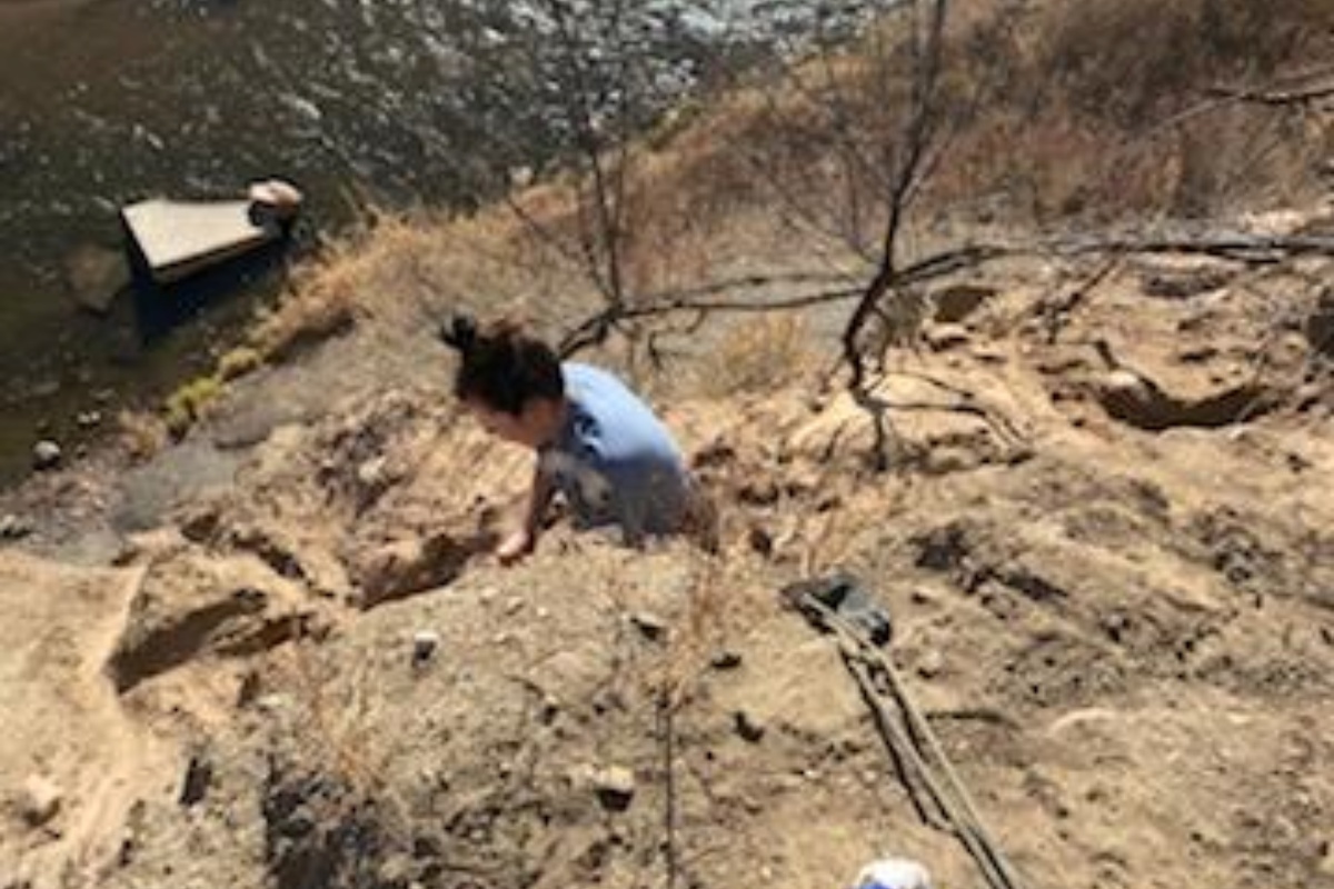 Jessie Lee, la cagnolina bloccata su una sporgenza di montagna