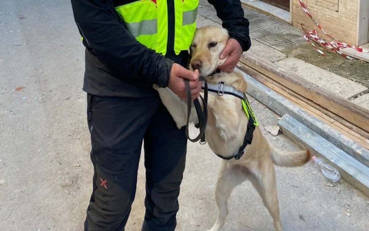 Luna la cagnolina che ha trovato i corpi