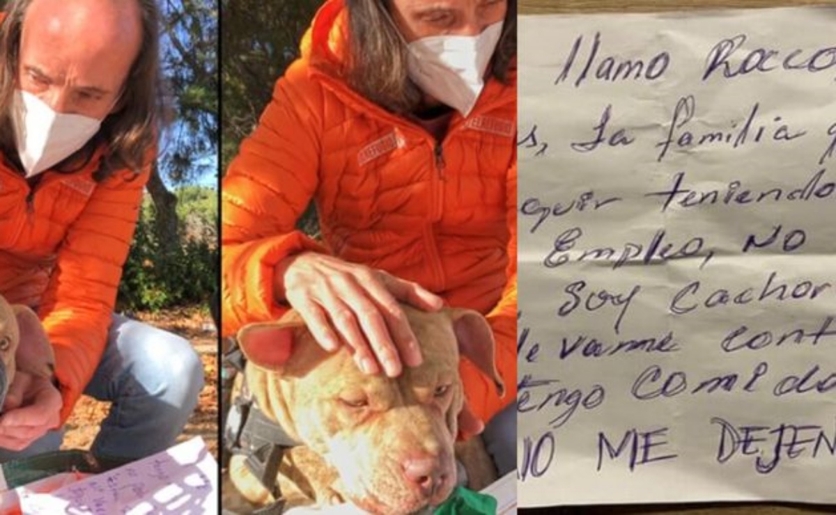 Rocco, il cane abbandonato con accanto un biglietto
