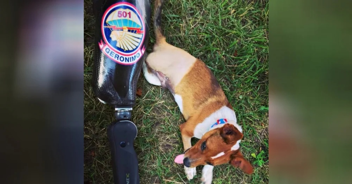 La storia del veterano Joshua e del cane Scooter