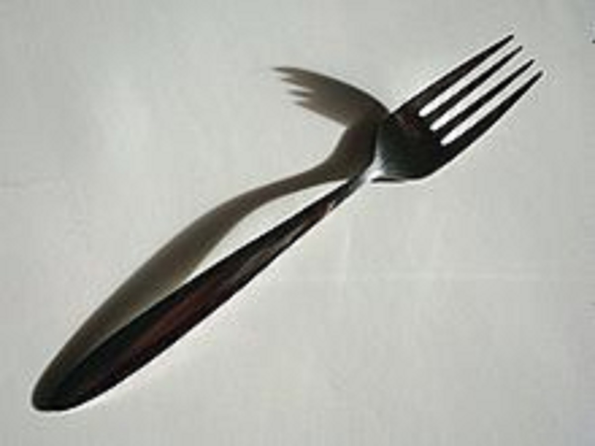 fork photo