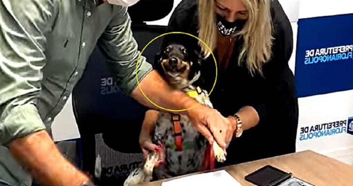 Cagnolina firma un disegno di legge