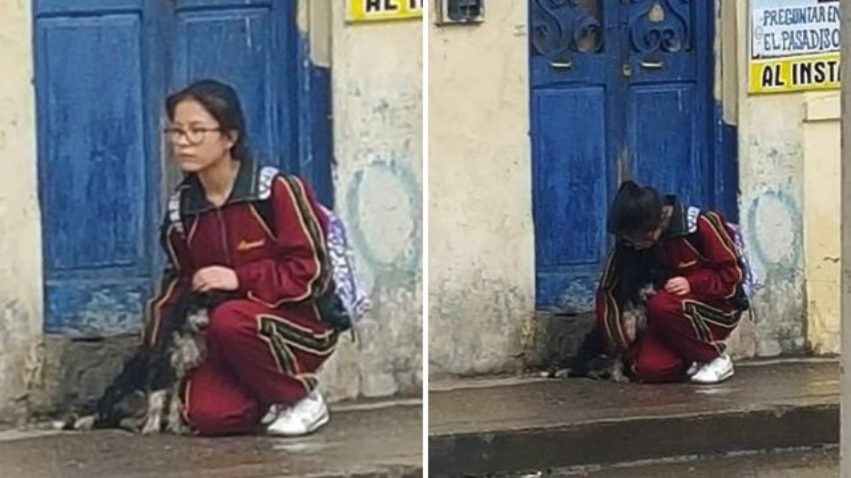 ragazza protegge un cane randagio