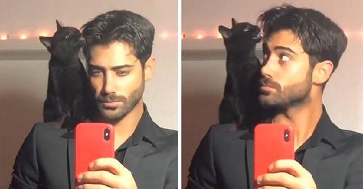 Il dolce gatto aiuta suo padre ad avere un aspetto migliore prima di un grande appuntamento