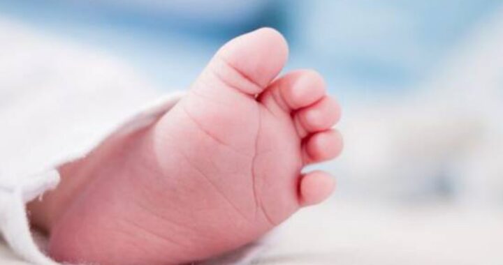 neonato