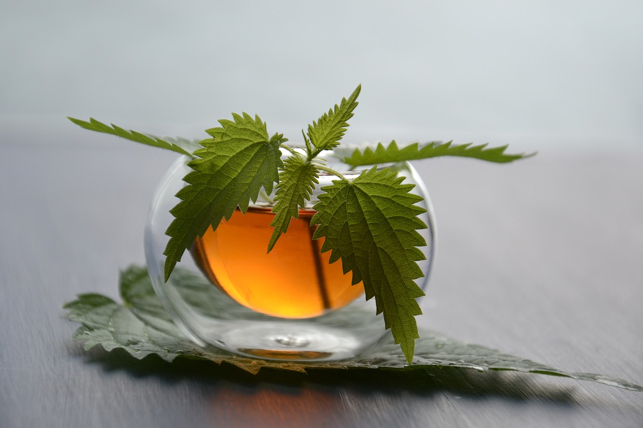 Le migliori tisane digestive da bere durante le feste di fine anno