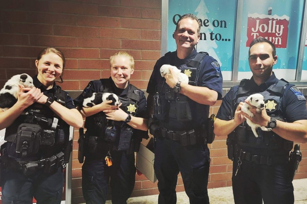 5 cuccioli polizia