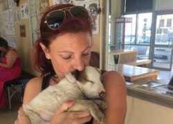 Angela Glover muore per salvare i suoi cani