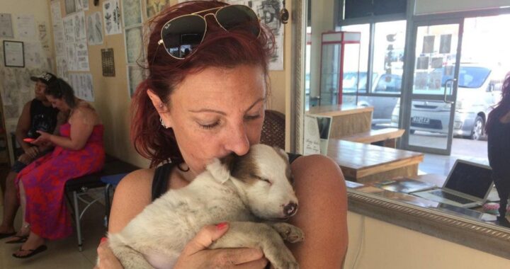 Angela Glover muore per salvare i suoi cani