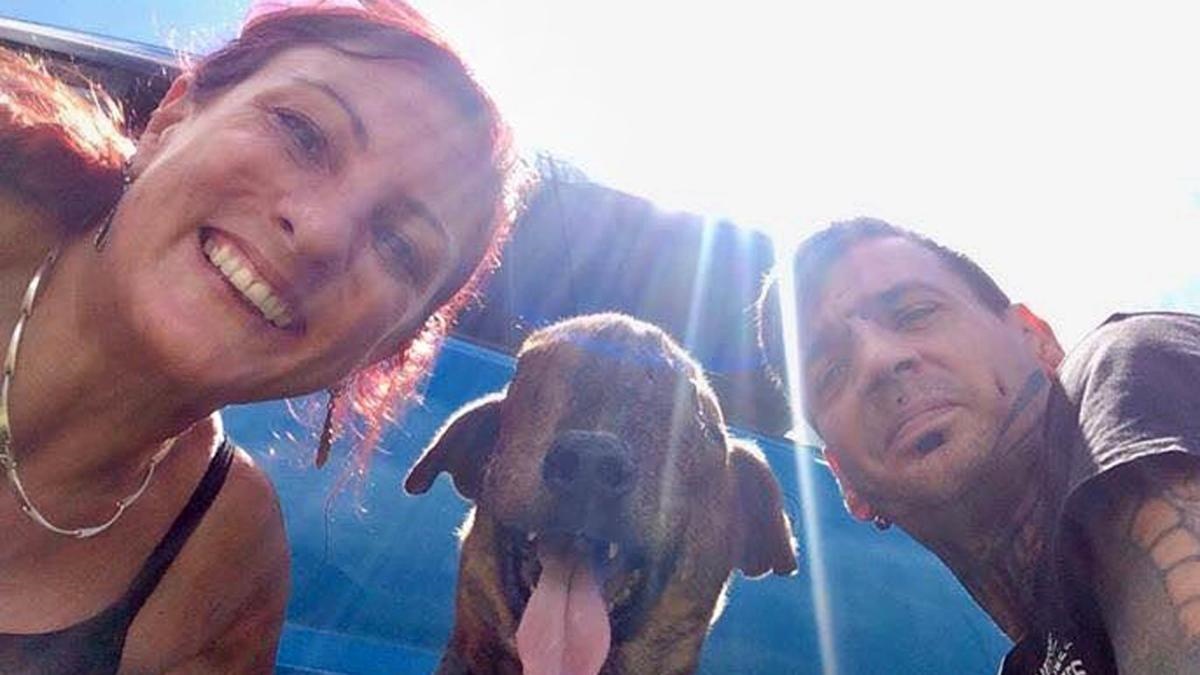 Angela Glover muore per salvare i suoi cani