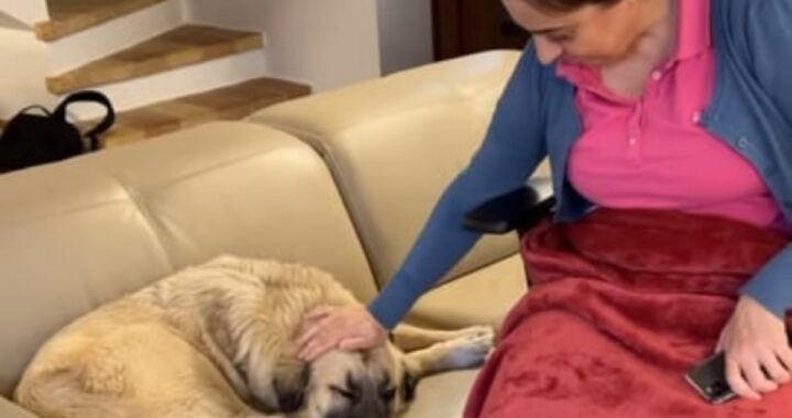 Benedetta Rossi torna a casa