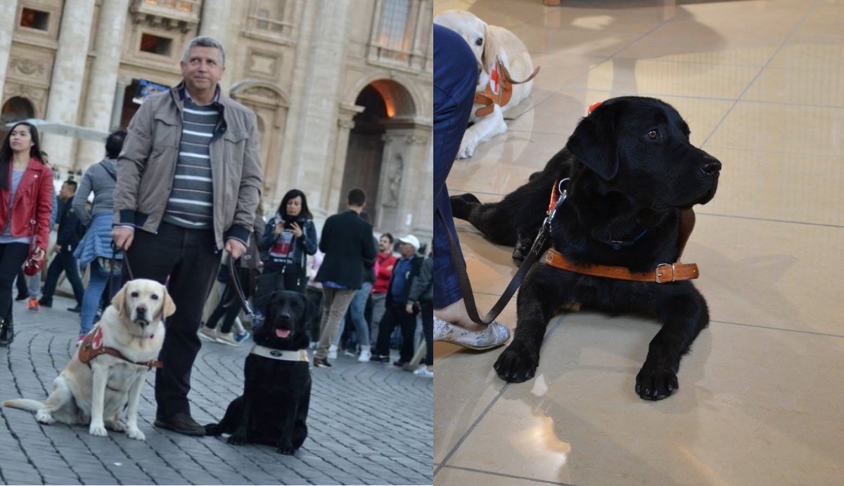 Cane guida non può entrare al Duomo