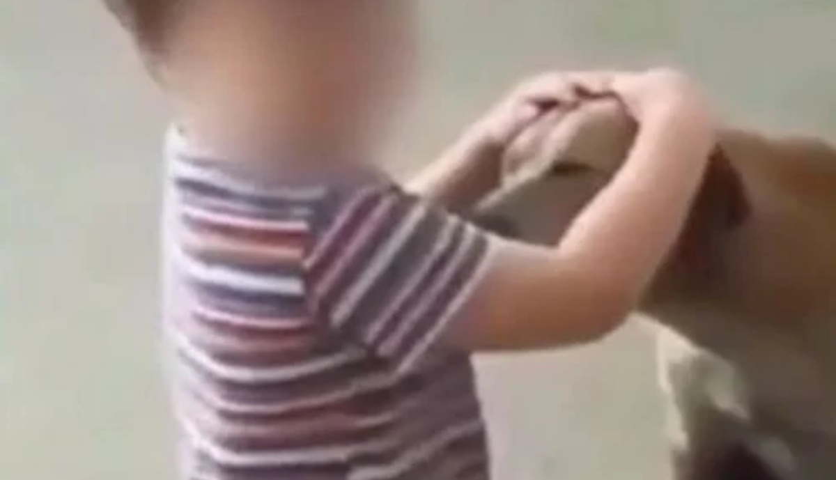 Il video di un bambino e di un cane randagio