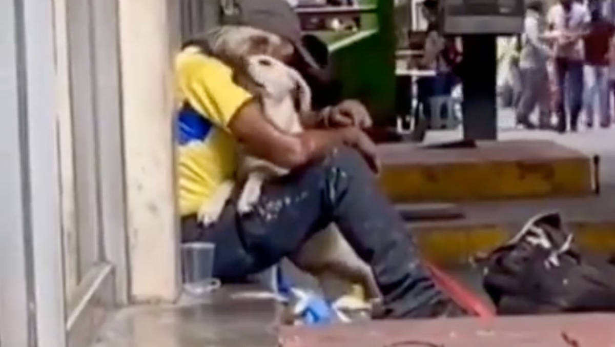 Il video virale del cane randagio e del senzatetto
