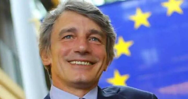 Sassoli David