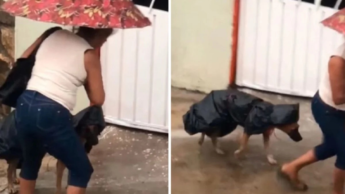Il gesto amorevole di una donna per il suo cucciolo