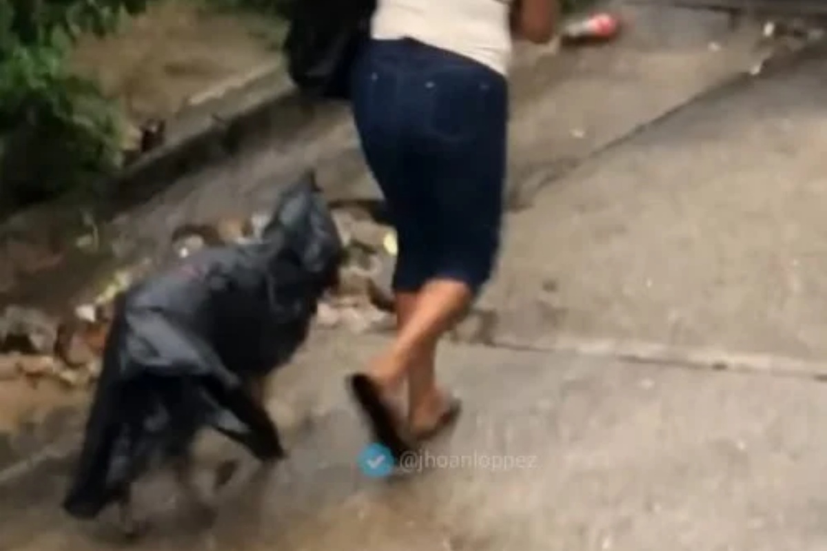 Il gesto amorevole di una donna per il suo cucciolo