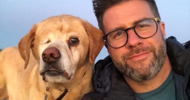Il post di James per difendere il suo cucciolo Oliver