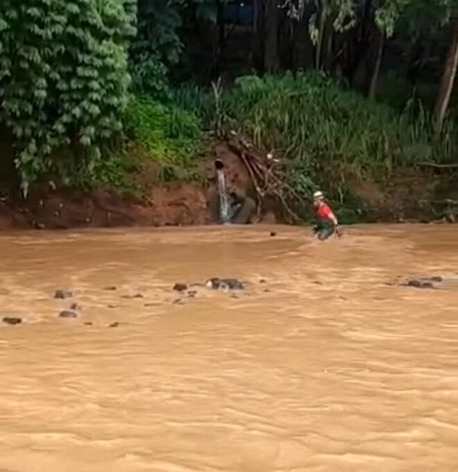 cane era spaventato e impaurito