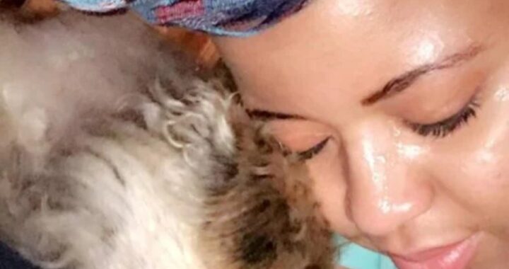 Il video commovente del cane Simba
