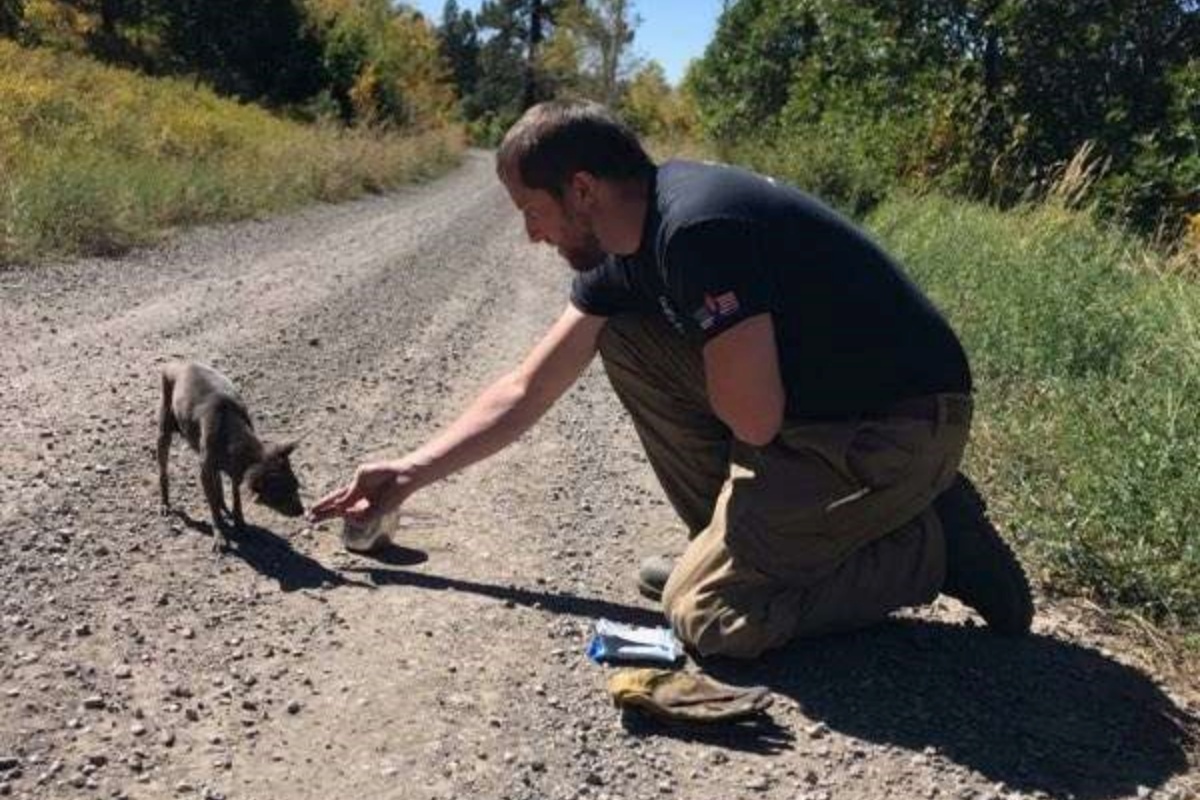 Il salvataggio di Smokey