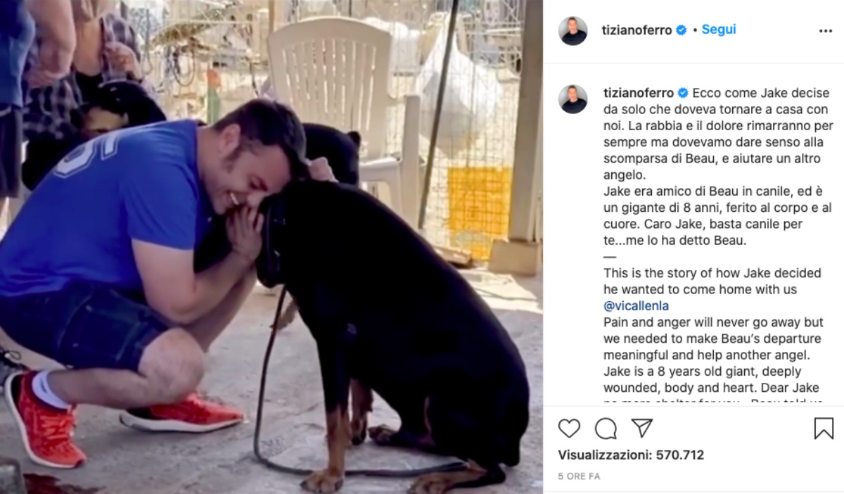 Morte Jake il cane di Tiziano Ferro