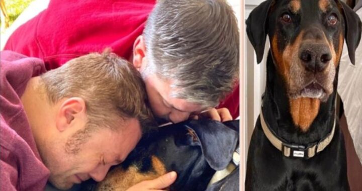Morte Jake il cane di Tiziano Ferro