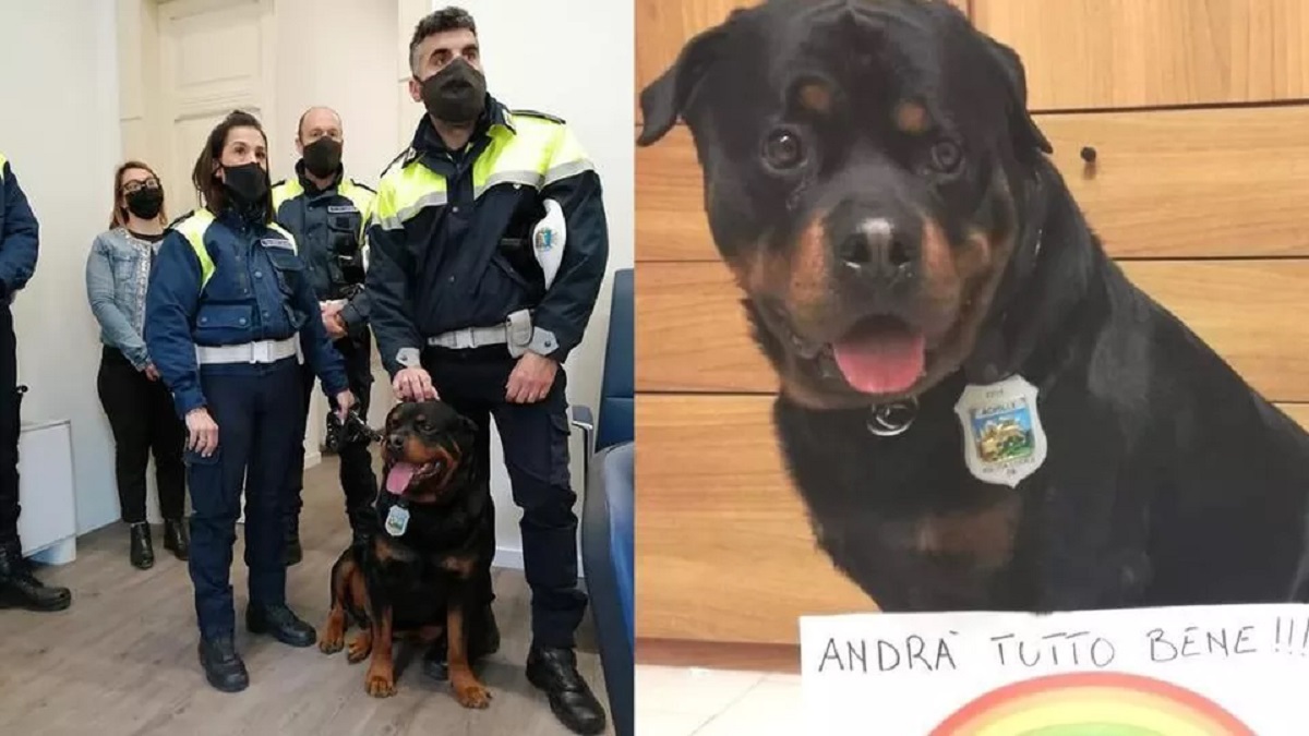 Cane poliziotto adottato a Este