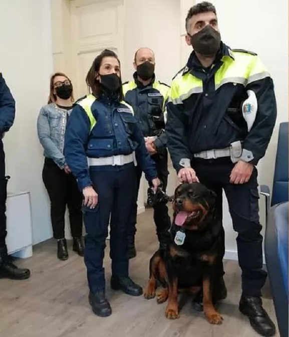 polizia locale